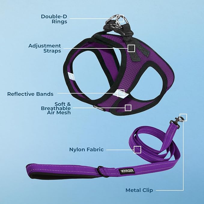Voyager Step-in Air All Weather Mesh Harness and Reflective Dog 5 ft Leash Combo with Neoprene Handle, for Small, Medium and Large Breed Puppies by Best Pet Supplies - Purple/Black Trim, XX-Small