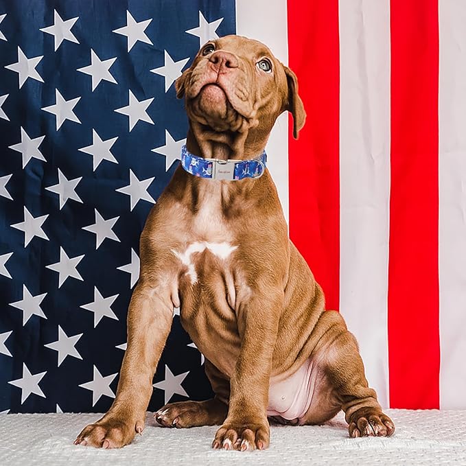 Unique style paws Independence Day Dog Collar Metal Buckle Hat Shark Collar Gift Durable Cute Collar for Small Medium Large Boys Girls Dogs