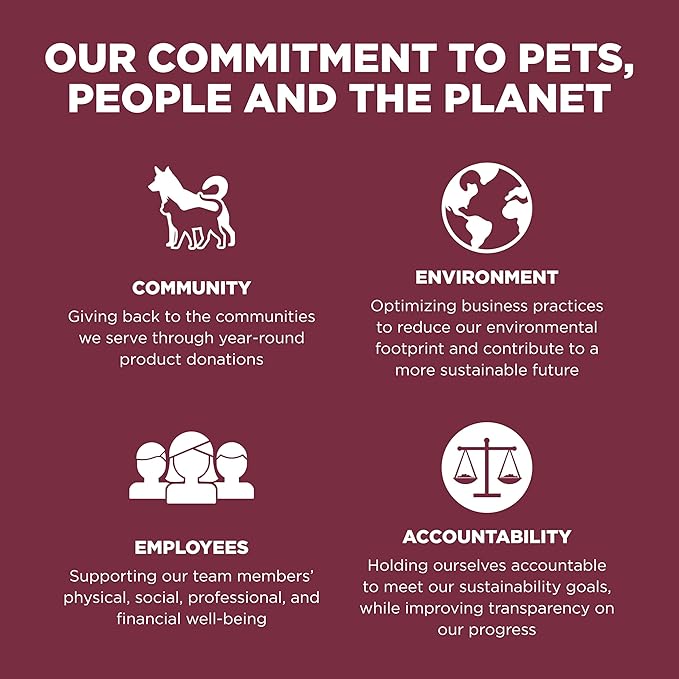 Go! Solutions Sensitivities Limited Ingredients, Grain-Free Dry Dog Food, Lamb Recipe for Sensitive Stomach, 3.5 lb Bag