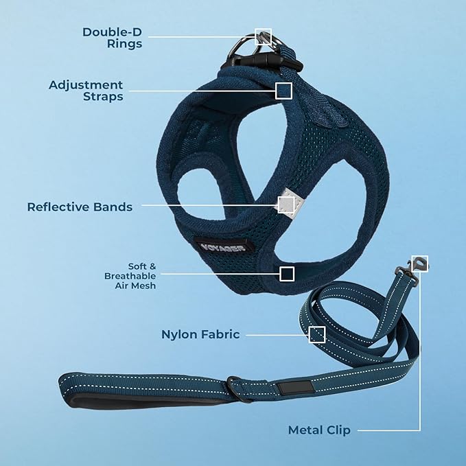 Voyager Step-in Air All Weather Mesh Harness and Reflective Dog 5 ft Leash Combo with Neoprene Handle, for Small, Medium and Large Breed Puppies by Best Pet Supplies - Set (Blue), S