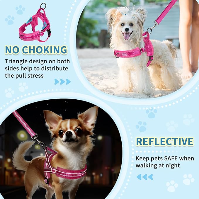 SlowTon No Pull Small Dog Harness and Leash Set, Puppy Soft Vest Harness Neck & Chest Adjustable, Reflective Lightweight Harness & Anti-Twist Pet Lead Combo for Small Medium Dogs (Fuchsia, XS)