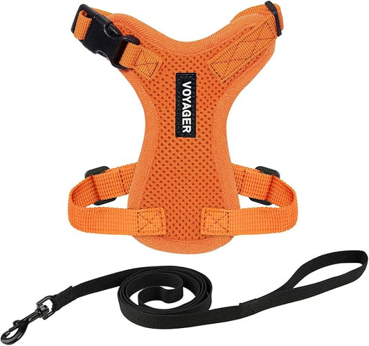 Voyager Step-in Lock Adjustable Cat Harness w. Cat Leash Combo Set with Neoprene Handle 5ft - Supports Small, Medium and Large Breed Cats by Best Pet Supplies - Orange, S
