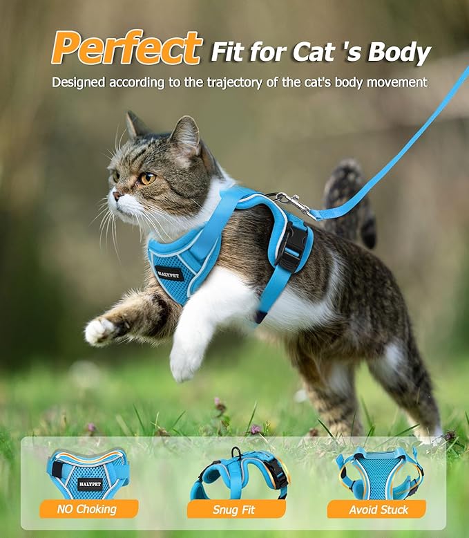 Halypet Cat Harness and Leash Set [MAX Safety 4th-Gen Upgrade] Escape Proof Adjustable Cat Leash Comfortable Soft Vest Easy to Wear Kitten Harness with Reflective Strip for Cats Walking, M SkyBlue