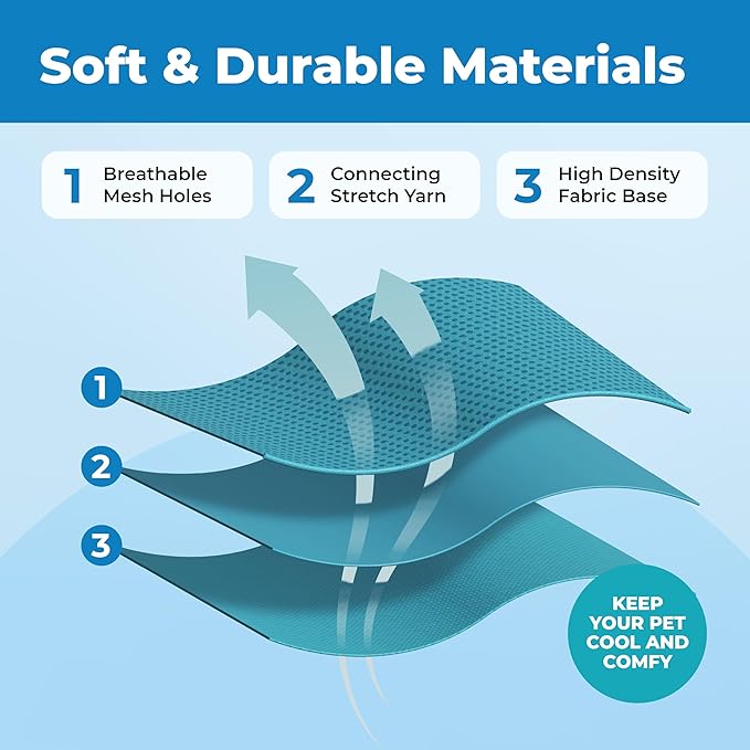 Voyager Escape Proof Cat Harness and Leash Set with Reflective Stitching, Neoprene Handle 5ft - Supports Small, Medium and Large Cats, Kittens for Walking by Best Pet Supplies - Turquoise, XXS