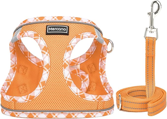 Mercano Soft Mesh Dog Harness and Leash Set, No-Chock Step-in Reflective Breathable Lightweight Easy Walk Vest Harnesses with Safety Buckle for Small Dogs, Cats (Orange, XXS)