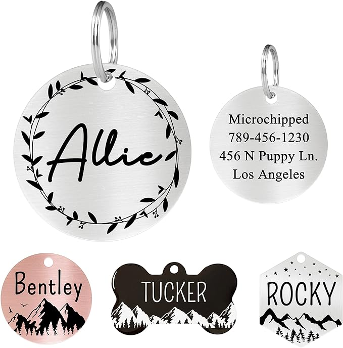 Ultra Joys Stainless Steel Pet ID Tag Dog Name Tags Personalized Front and Back Engraving, Customized Dog Tags and Cat Tags, Optional Engraved on Both Sides, Round Tag Vine Design 2, Silver Large
