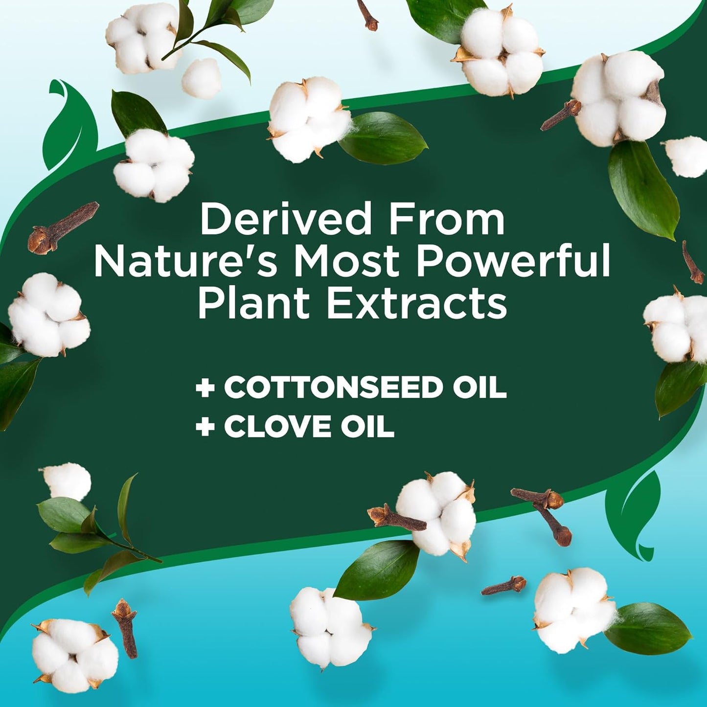 Vet’s Best Flea & Tick Home Spray for Dogs – Plant-Based Flea and Tick Treatment with Cotton Spice Scent – Indoor Flea Spray for Dogs – Made in USA Flea Control for Home Use – 32 oz