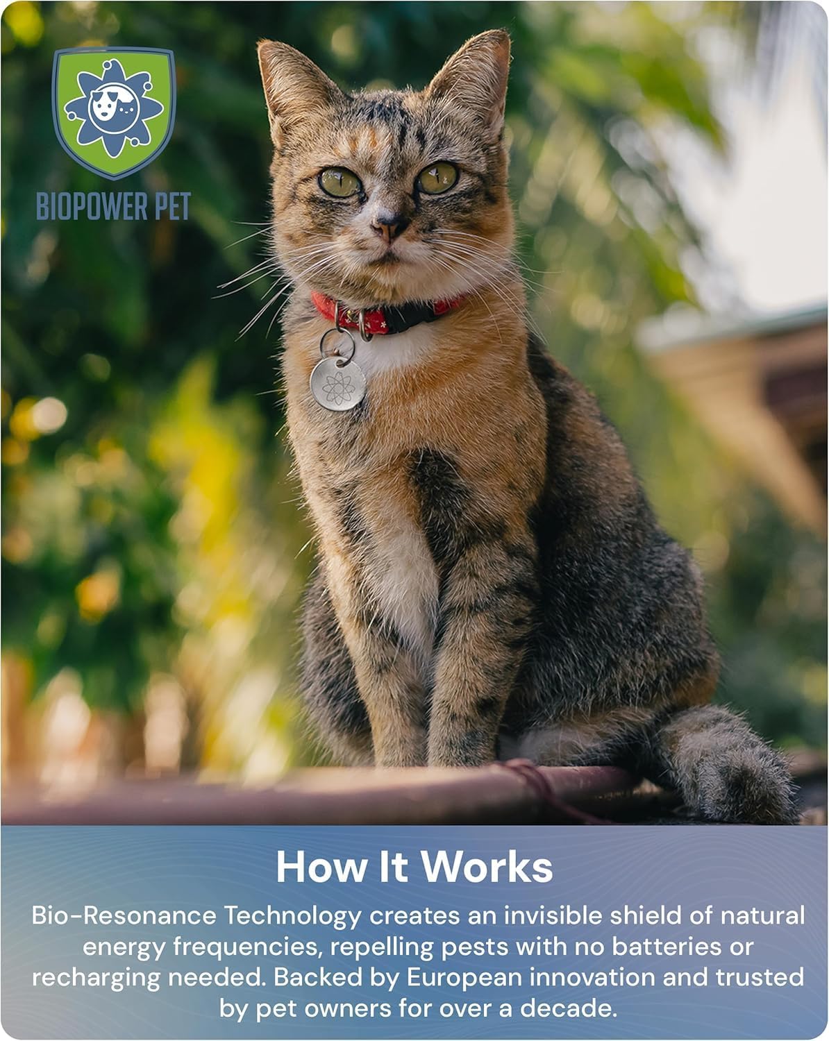 Natural Flea & Tick Repellent Collar Tag for Dogs & Cats – BioPower Pet Shield – Safe for Pets When Used as Directed – Lasts 1 Full Year - Regular Tag (2 Pack)