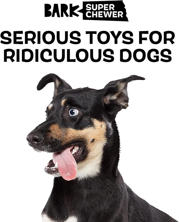 Barkbox Super Chewer Tough Dog Chew Toys for Aggressive Chewers, Plush 2 Toys in 1 (Panda - Large)