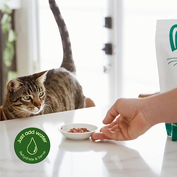 smallbatch Freeze-Dried Raw Cat Food, Shelf Stable Food Bites, Turkey Recipe, High Protein Meal or Topper for Cats, Humanely Raised Meat, Organic, Non-GMO Produce, Made in The USA, 10oz Bag