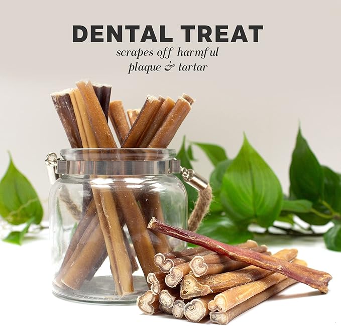 Downtown Pet Supply 6-inch Bully Sticks for Dogs, Pack of 100 - Single Ingredient, Nutrient-Rich and Odor Free Bully Sticks for Dogs - Rawhide Free Dog Chews Long Lasting and Non-Splintering
