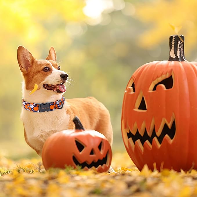 Unique style paws Dog Collar Metal Buckle Collar for Autumn Winter Christmas for Small Medium Large Boys Girls Dogs