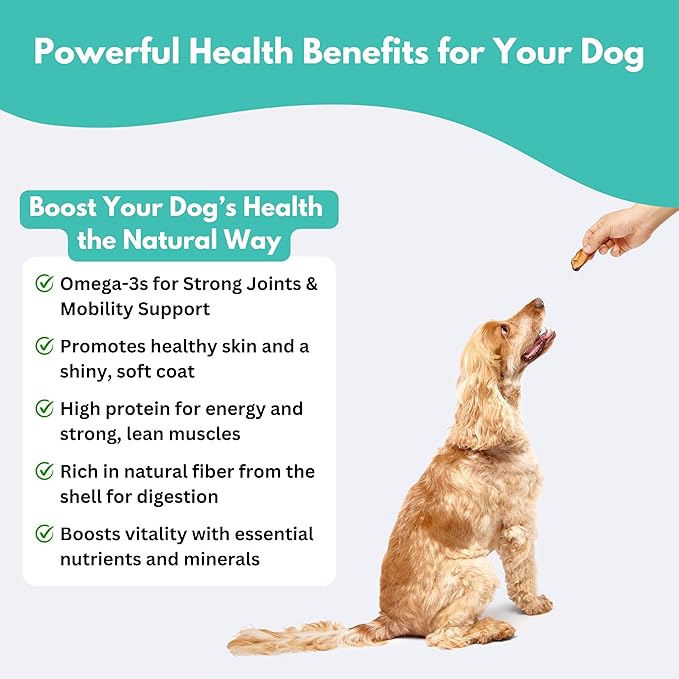 ALFIE'S TREATOS Shrimp Treats for Dogs & Cats (2.12 oz), Air-Dried Dog Treats, Food Topper & Training, Australian Wild-Caught, Single Ingredient, Freeze-Dried Alternative