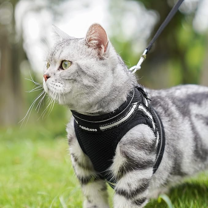 rabbitgoo Cat Harness and Leash Set for Walking Escape Proof, Adjustable Soft Kittens Vest with Reflective Strip for Cats, Comfortable Outdoor Vest, Black, L