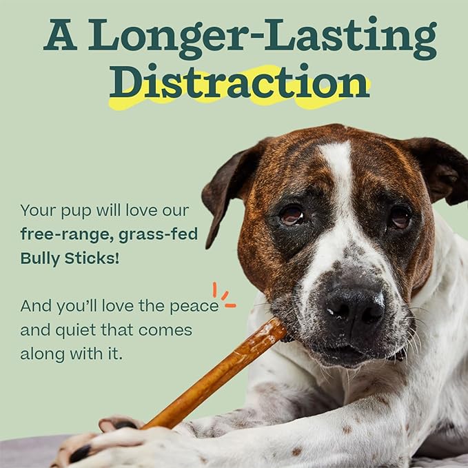 WOOF Bully Sticks Dog Treats - Chew Sticks for Dogs - Long-Lasting Dog Chew Treats - Made with Free-Range, Grass-Fed Beef - 6" Sticks - 5pk