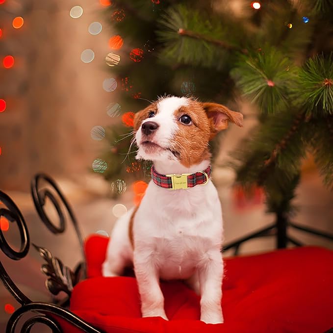 Unique style paws Dog Collar Scottish Plaid Black Red Metal Buckle Durable Puppy Collar Christmas for Small Medium Large Boys Girls Dogs