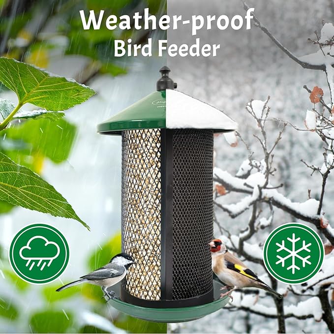 Portable Dual Mesh Metal Hanging Finch Bird Feeder - Durable & Heavy- Duty with 360° Perch & 2 Separate Seed Compartments - Holding Capacity: Upto 3.4 lbs (1.5 Kg) - (Natural Green)