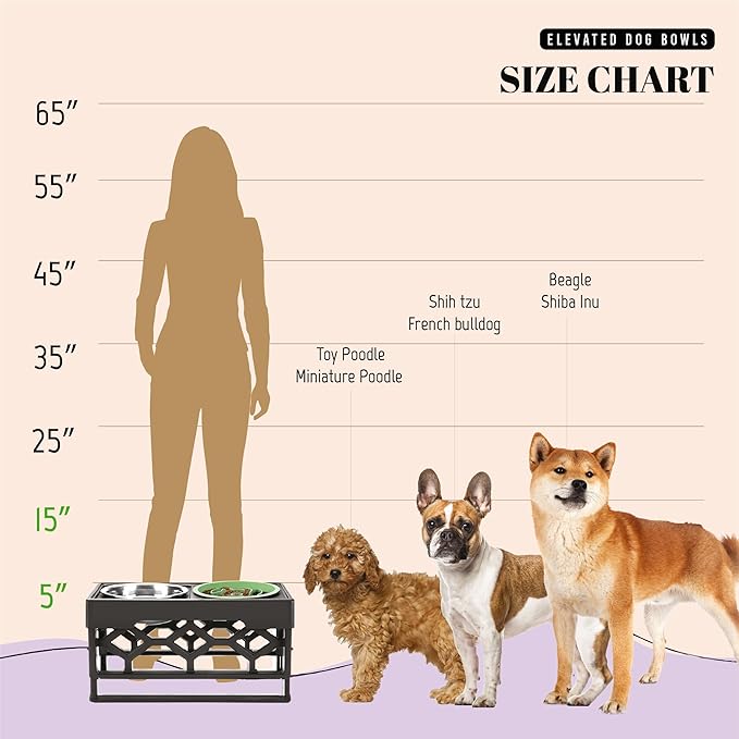 AVERYDAY Small Slow Feeder Dog Bowls Elevated, 4 Height Adjustable Raised Dog Bowl Stand with Stainless Steel Food and Water Bowl, Tall Dogs Feeding Station with Anti-Slip for Small Medium Breeds Dogs