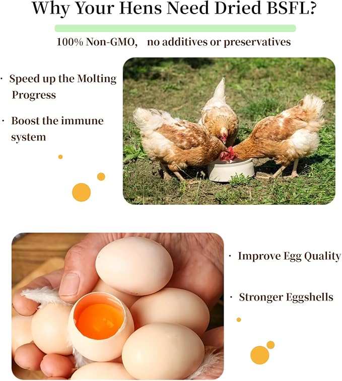 Dried Black Soldier Fly Larvae 10LB, High Calcium Chicken Feed – 85X More Calcium, Non-GMO Treats for Chickens, Laying Hens, Ducks, Turkeys, Wild Birds, Turtles