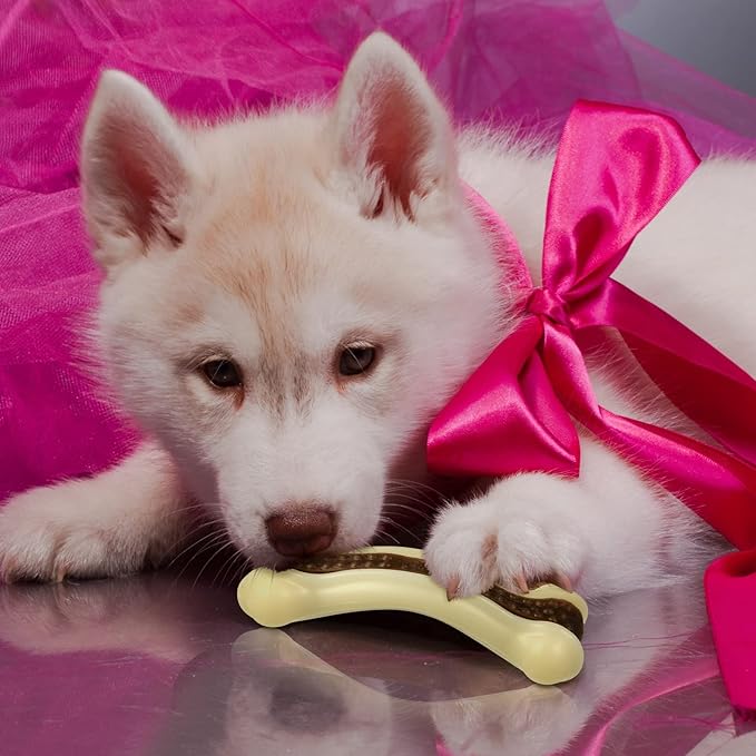 Sosation Bones Shaped Dog Toys for Aggressive Chewers, 2 Pack Dog Chew Toys Puppy Teething Nylon Beef Flavor for Large/Medium/Small Puppies Breeds(Curved Bone,Small)