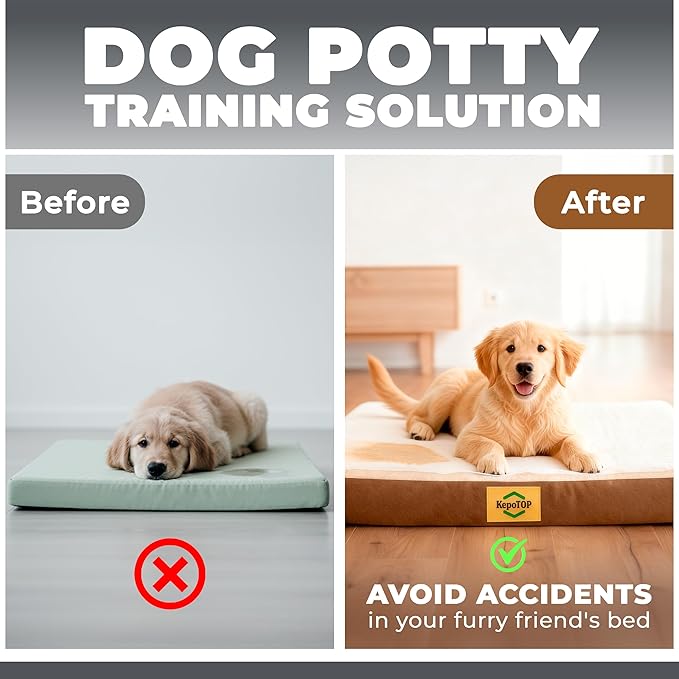 Puppy Pad Holder | Washable Dog Bed | Dog Potty Training | Puppy Potty Training | Indoor Pee Pad Station | Waterproof Washable Bed for Dogs with Pad Holder
