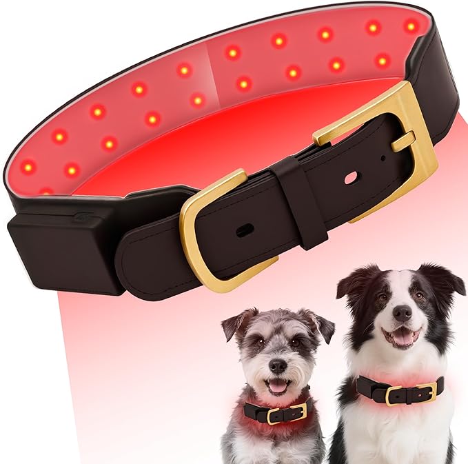 Red Light Therapy Collar for Dog, 660nm & 810nm & 980nm Infrared Red Light Vet Therapy Device for Pet, Cold Laser Therapy Device for Dog Tissue Repair, Pain Relief Arthritis, Promote Blood Circulation