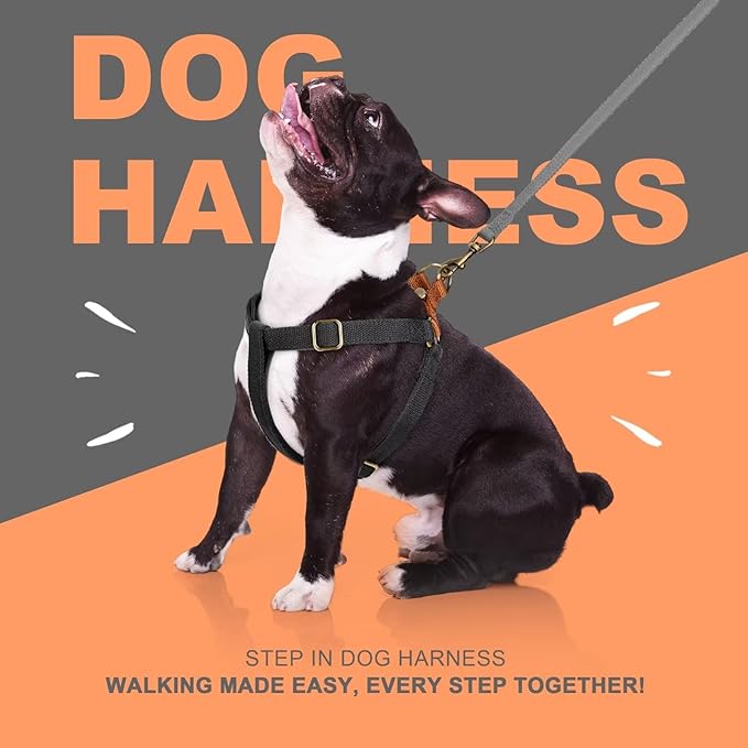 Didog Step in Dog Harness with Metal Buckles, Freedom Nylon Dog Halter Vests for Small Dogs Easy Walking Training(S:Chest 13-22", Black)