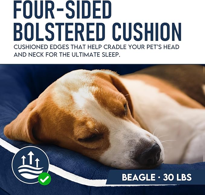 OhGeni Orthopedic Dog Couch Pet Sofa Large Sized Cat Beds with Comfort Foam Support, Soft Comfortable Fabric, Machine Washable Waterproof Removable Cover, 35-Inch (Dark Blue)