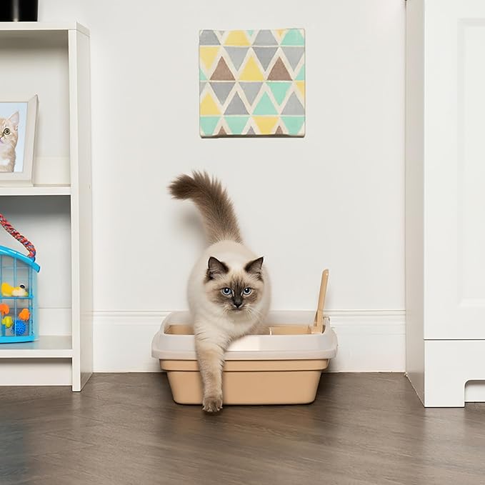 IRIS USA Cat Litter Box, Open Top with Scoop, Easy Clean Plastic Pan for Indoor Cats & Kittens, Beige