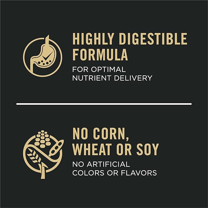 Purina Pro Plan Sensitive Skin and Stomach Dog Food Dry, Adult Salmon & Rice Formula, Digestive Health - 16 lb. Bag