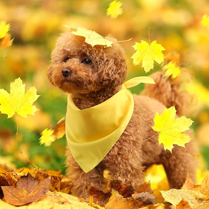 48 Pcs Fall Dog Bandanas Bulk Sublimation Blank Bandanas for Dogs Heat Transfer Triangle Bibs DIY Scarf for Small Medium Large Puppy Pets Halloween Christmas Costume(Red Yellow Orange Brown)