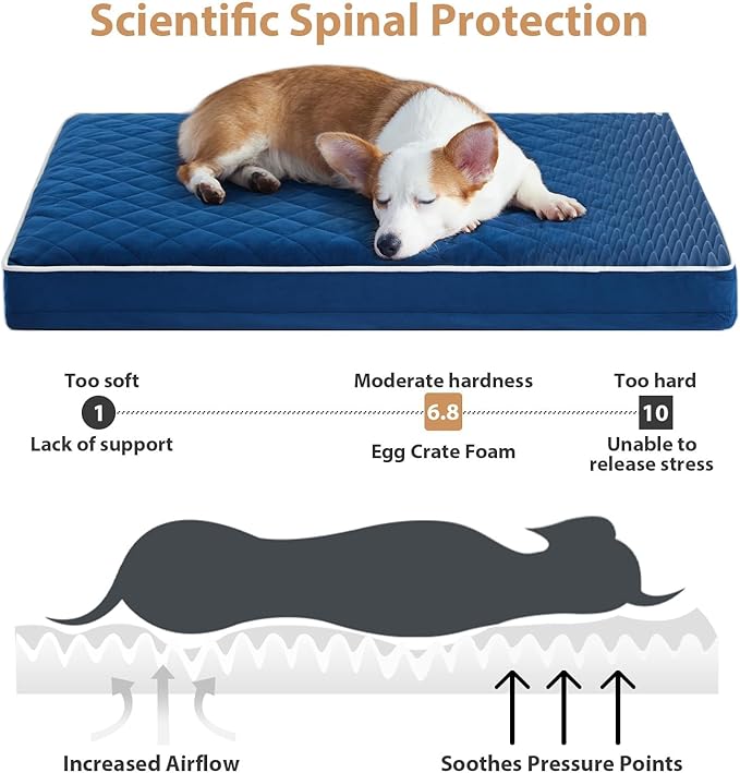 WNPETHOME Orthopedic Big Dog Beds Large Sized Dog, Waterproof Extra Large Dogs Bed with Removable Washable Cover, Multi-Needle Quilting Dogs Crate Bed