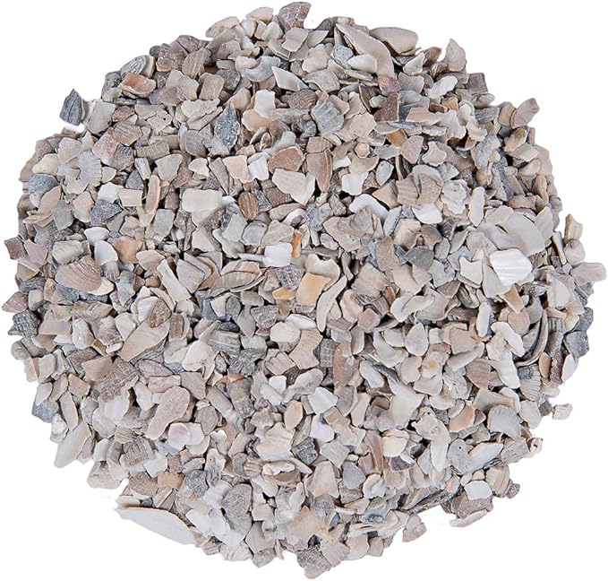 Small Pet Select Flaked Oyster and Seashell Mix-Calcium Supplement for Chickens & Ducks (5lb)