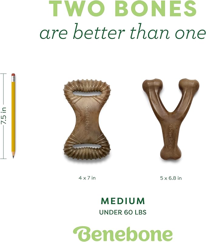 Benebone 2-pack Wishbone/Dental Durable Dog Chew Toys, Dog Toys for Aggressive Chewers, Real Bacon, Made in USA, Medium