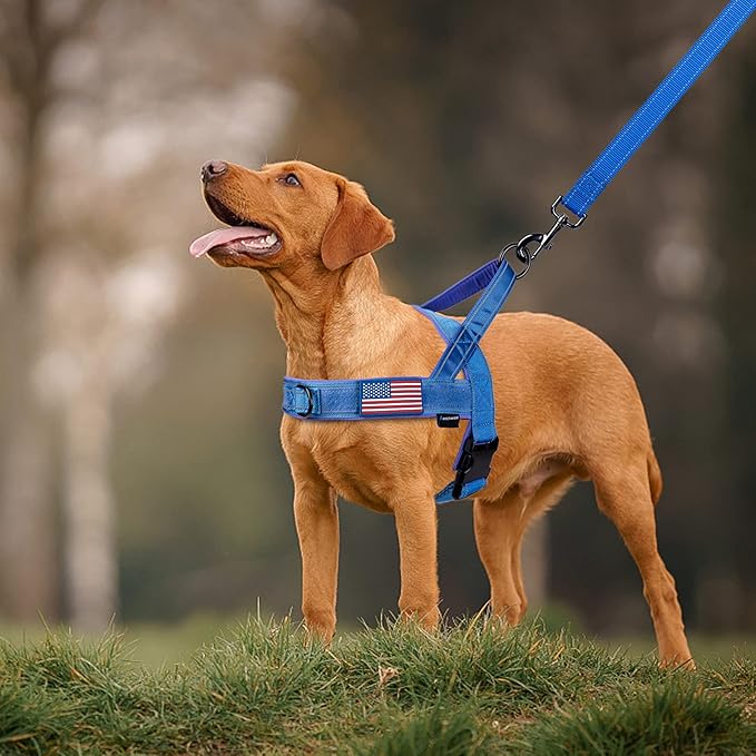 Annchwool No Pull Dog Harness with Soft Padded Handle-Reflective Strip Escape Proof and Quick Fit to Adjust Dog Harness-Easy for Training Walking for Small & Medium and Large Dogs(Blue,XS,1 in Width)