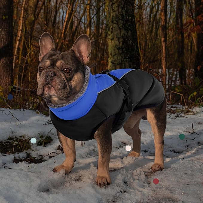 IECOii Extra Warm Dog Coat - Reflective Adjustable Jacket with Buckle Fleece Turtleneck for Cold Weather - Soft Winter Coat for Small, Medium & Extra Large Dogs
