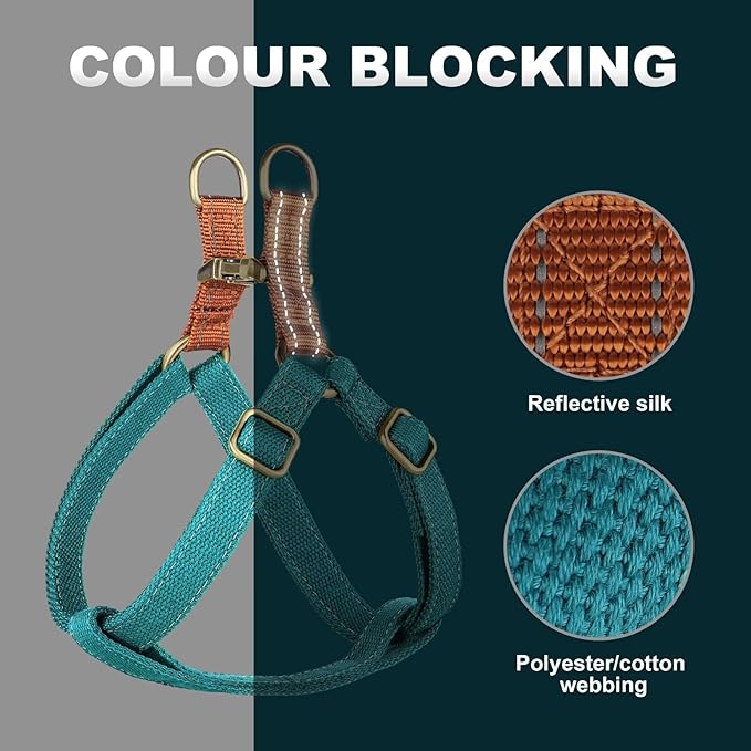 Didog Step in Dog Harness with Metal Buckles, Freedom Nylon Dog Halter Vests for Small Dogs Easy Walking Training(XS:Chest 9-12", Blue)