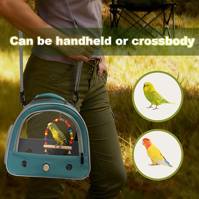 Portable Parrot Travel Cage Carrier with Small Swing Toy&Cage Colorful Toys Set Small Bird Parakeet Bag with Standing Perch Bird Carry Transport Bag (Green, Carreir/Swing)