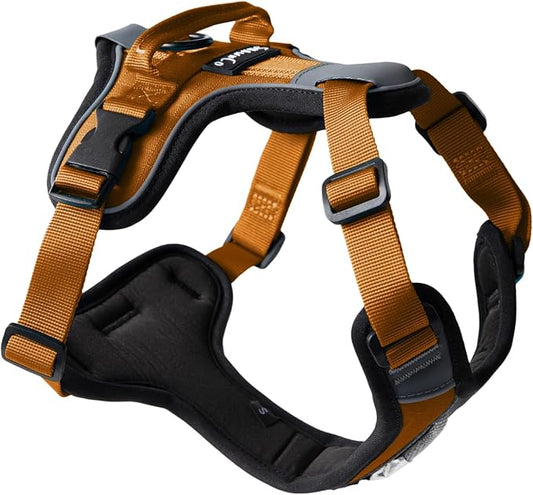 ShawnCo Basecamp Dog Harness, No-Pull Pet Vest with 3 Leash Clips, Padded, Reflective, Lightweight and Adjustable Harness with Handle for Small, Medium and Large Dogs (Sunset Orange, S)