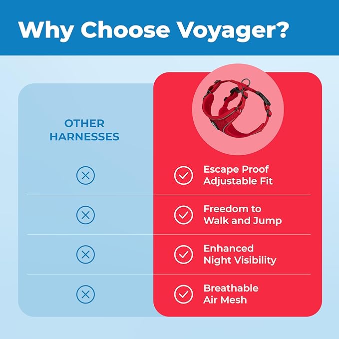 Voyager Escape Proof Cat Harness and Leash Set with Reflective Stitching, Neoprene Handle 5ft - Supports Small, Medium and Large Cats, Kittens for Walking by Best Pet Supplies - Red, S