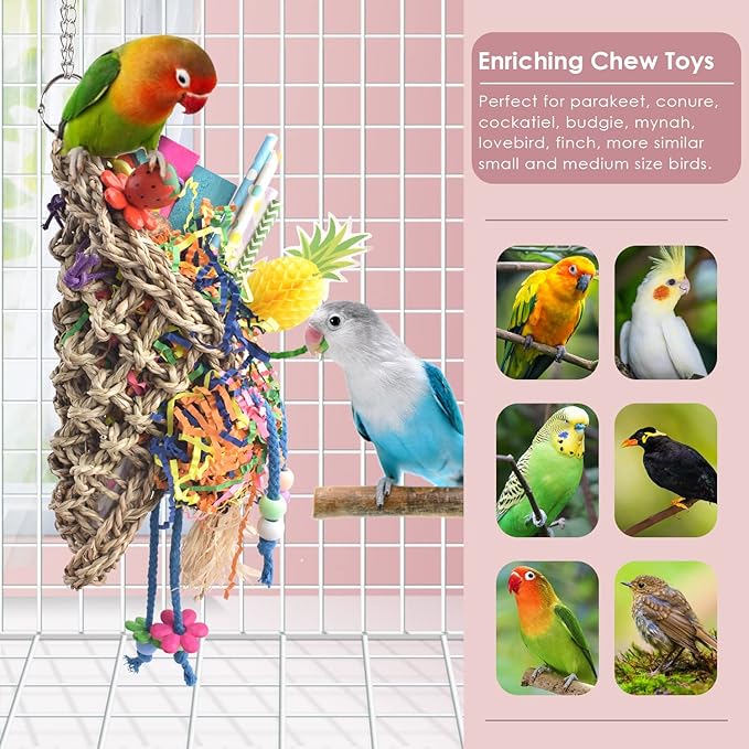 KATUMO Seagrass Basket Bird Toy with Array of Chewable Parrot Foraging Toys for Small Medium Parrot Birds