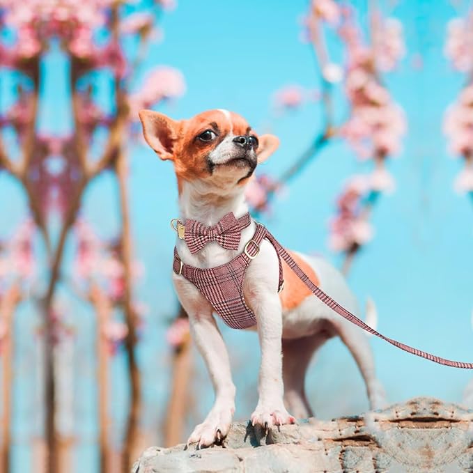 Beirui Cute Extra Small Dog Harness Collar and Leash Set with Bowtie, Soft Adjustable Plaid Puppy Harness for Small Sized Dogs Cats Walks Parties and Photoshoots(Maroon,XXS:Chest 12-14")