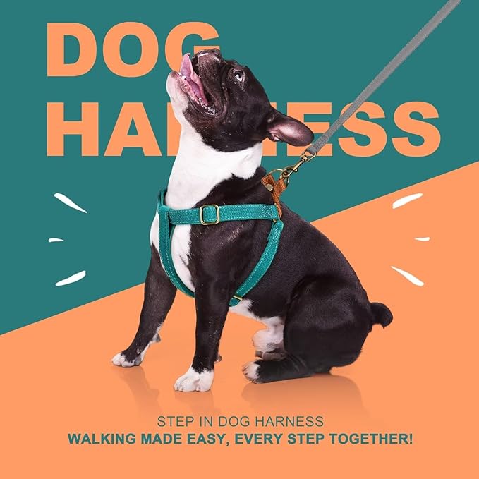 Didog Step in Dog Harness with Metal Buckles, Freedom Nylon Dog Halter Vests for Small Dogs Easy Walking Training(S:Chest 13-22", Blue)