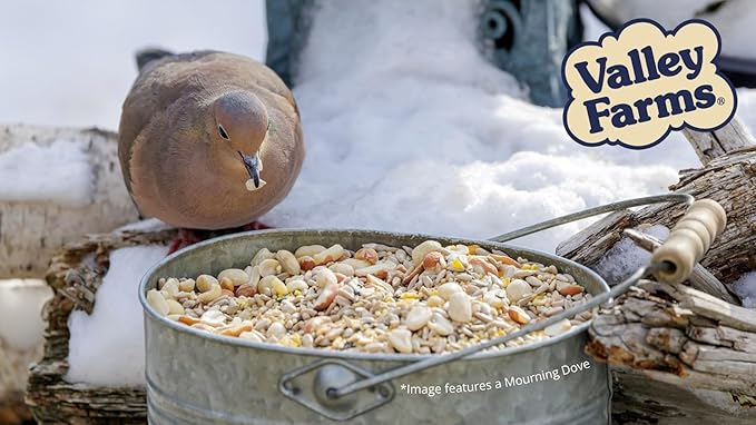 Valley Hearty Delight Wild Bird Food for Outside Feeders No-Mess Bird Seed w Sunflower Hearts & Peanuts no Filler Bird Seed Perfect for Patios 15 LBS