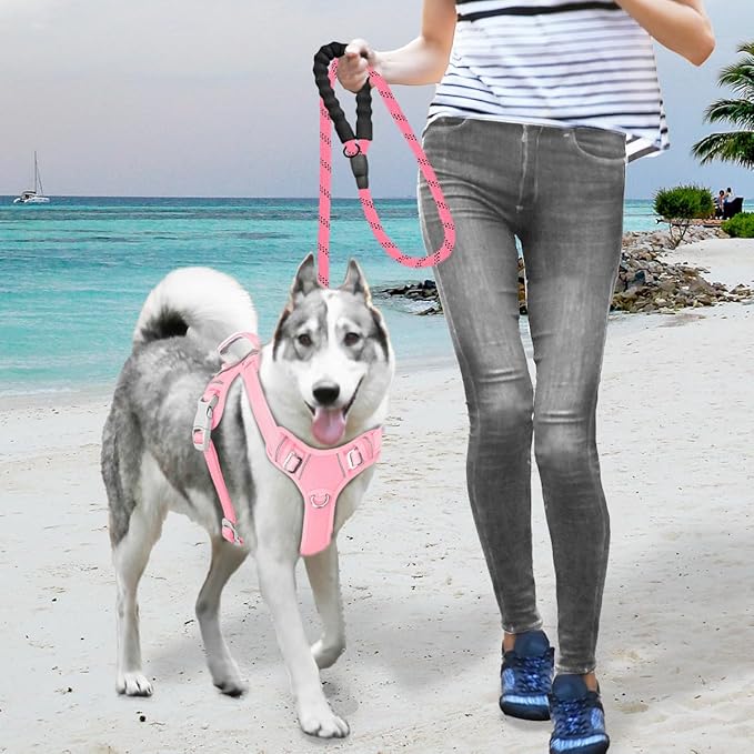 BARKBAY No Pull Dog Harness Large Reflective Dog Harness with Front Clip and Easy Control Handle for Walking Training Running with ID tag Pocket(Baby Pink,S)