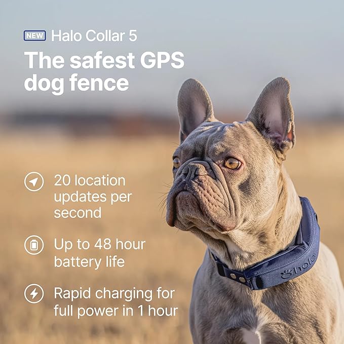 Halo Collar 5, New Wireless Dog Fence & GPS Dog Collar, Subscription Required, Waterproof, Sunburst, One Size