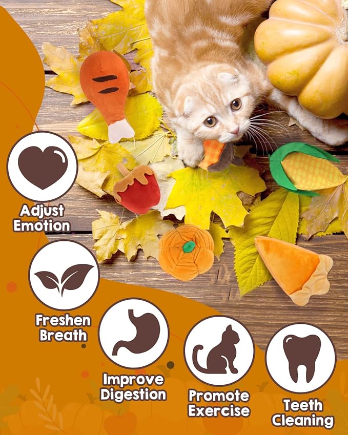 CiyvoLyeen 6pcs Thanksgiving Catnip Toys Plush Cat Chew Bite Resistant Toys Interactive Boredom Relief Teeth Cleaning Kitten Toys for Fall Thanksgiving Cat Lover Gift
