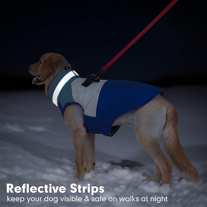 azuza Dog Jacket for Small Dogs Waterproof Dog Coat with Reflective Strips and Harness Built in Warm Fleece Dogs Winter Coat Windproof with Back Zipper, Blue L