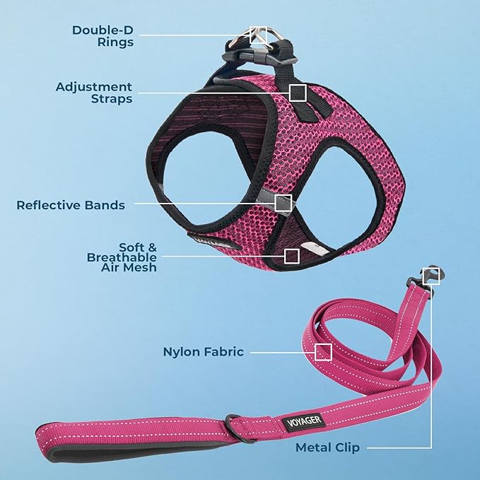 Voyager Step-in Air All Weather Mesh Harness and Reflective Dog 5 ft Leash Combo with Neoprene Handle, for Small, Medium and Large Breed Puppies by Best Pet Supplies - Fuchsia (2-Tone), XS