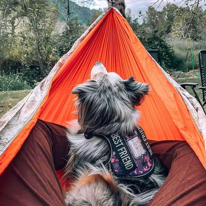 AUROTH Tactical Dog Harness for Small Medium Large Dogs No Pull Adjustable Pet Harness Reflective K9 Working Training Easy Control Pet Vest Military Service Dog Harnesses (XL, Purple Camo)